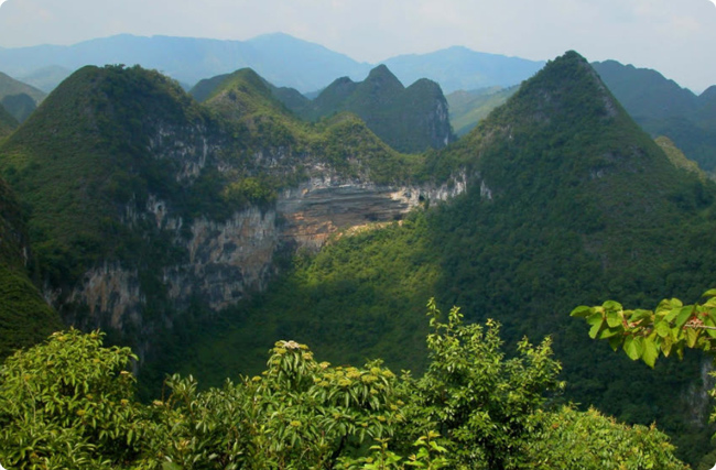 ��ɫ̼�R�ƾ�¡�ֺ��sɭ��׃�F