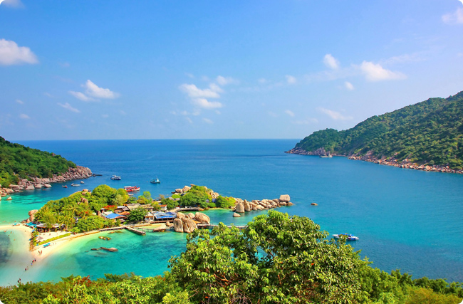 �{(l��n)̼���𣺺���̼�R���ܚ���¸��