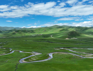 ��ظ�ԭ�׬F(xi��n)�����ŷ� �I(l��ng)���Ї�(gu��)̼�к�